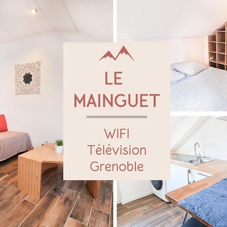 Le Mainguet - Appartement cosy - Grenoble Extérieur photo